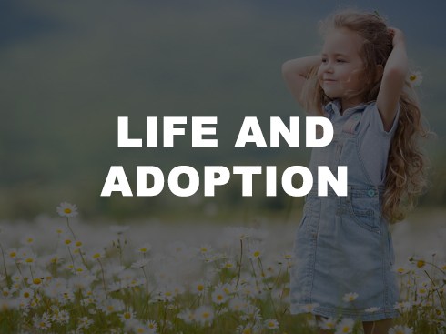 IssueLifeandAdoption-R1